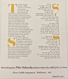 certificate-holocaust-torah