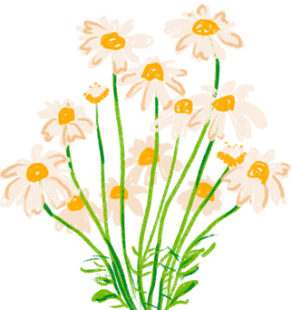 moreflowers